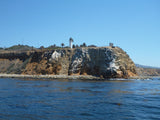 Giant Stride-Palos Verdes Outer Reefs-May 23, 2021-(Experienced OW divers and above) - Channel Islands Dive Adventures