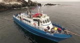 Spectre Dive Boat-Kopco Star and Anacapa Island-Nov. 8, 2021-(Advanced divers and above) - Channel Islands Dive Adventures
